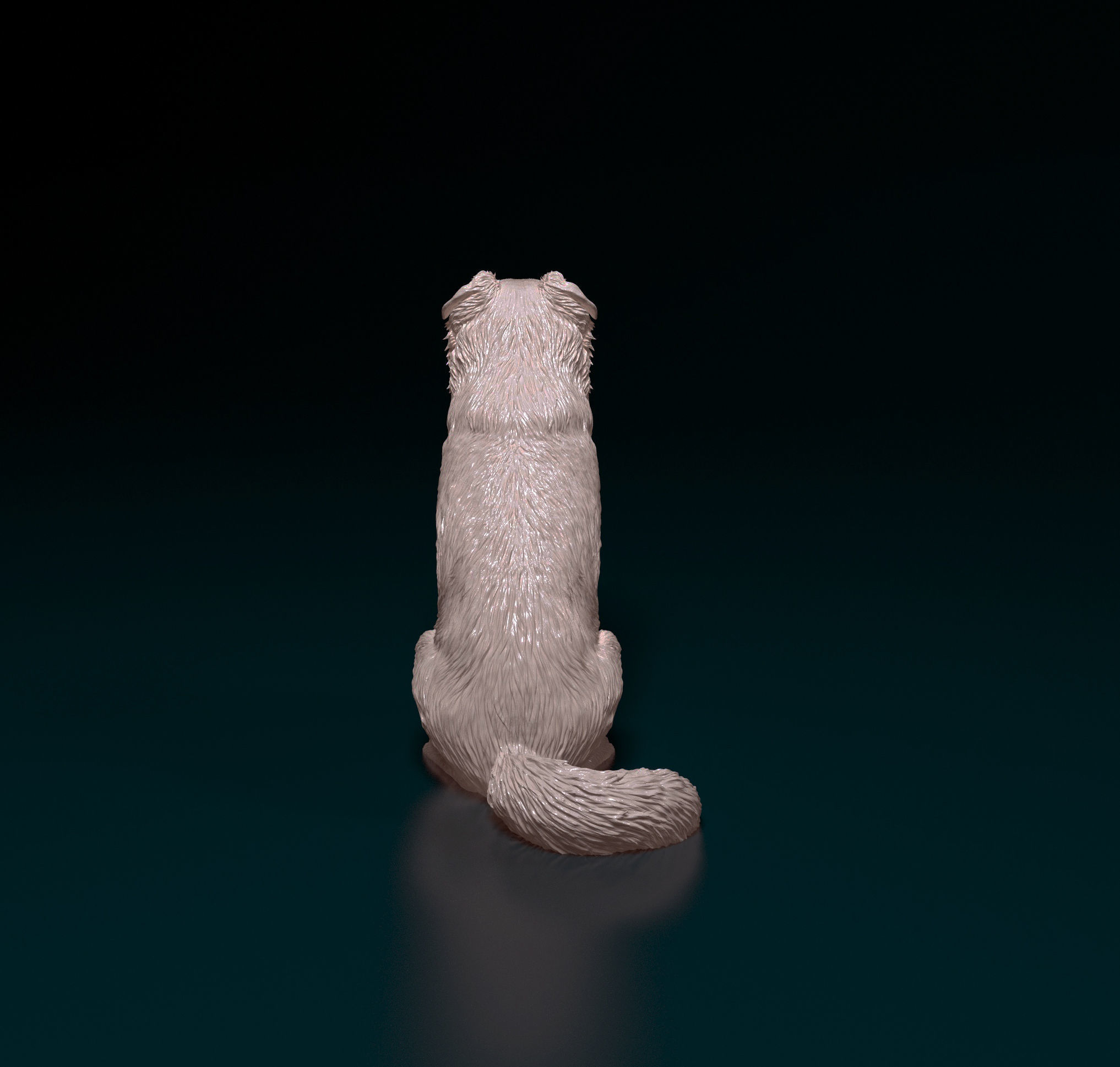 Border Collie cross 3D print model_3