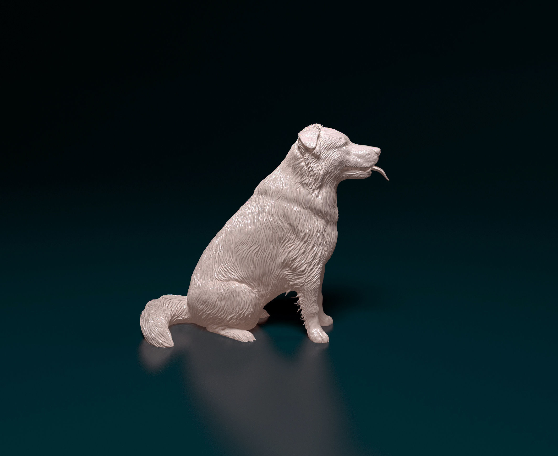 Border Collie cross 3D print model_1