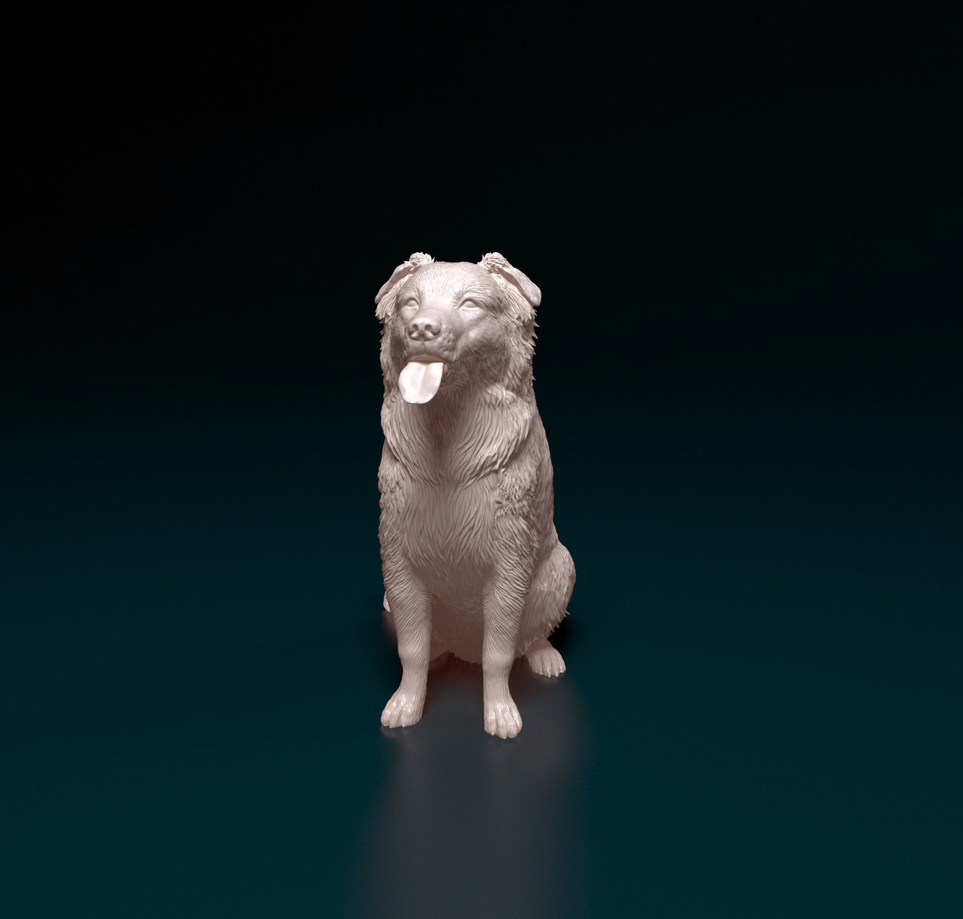 Border Collie cross 3D print model_6