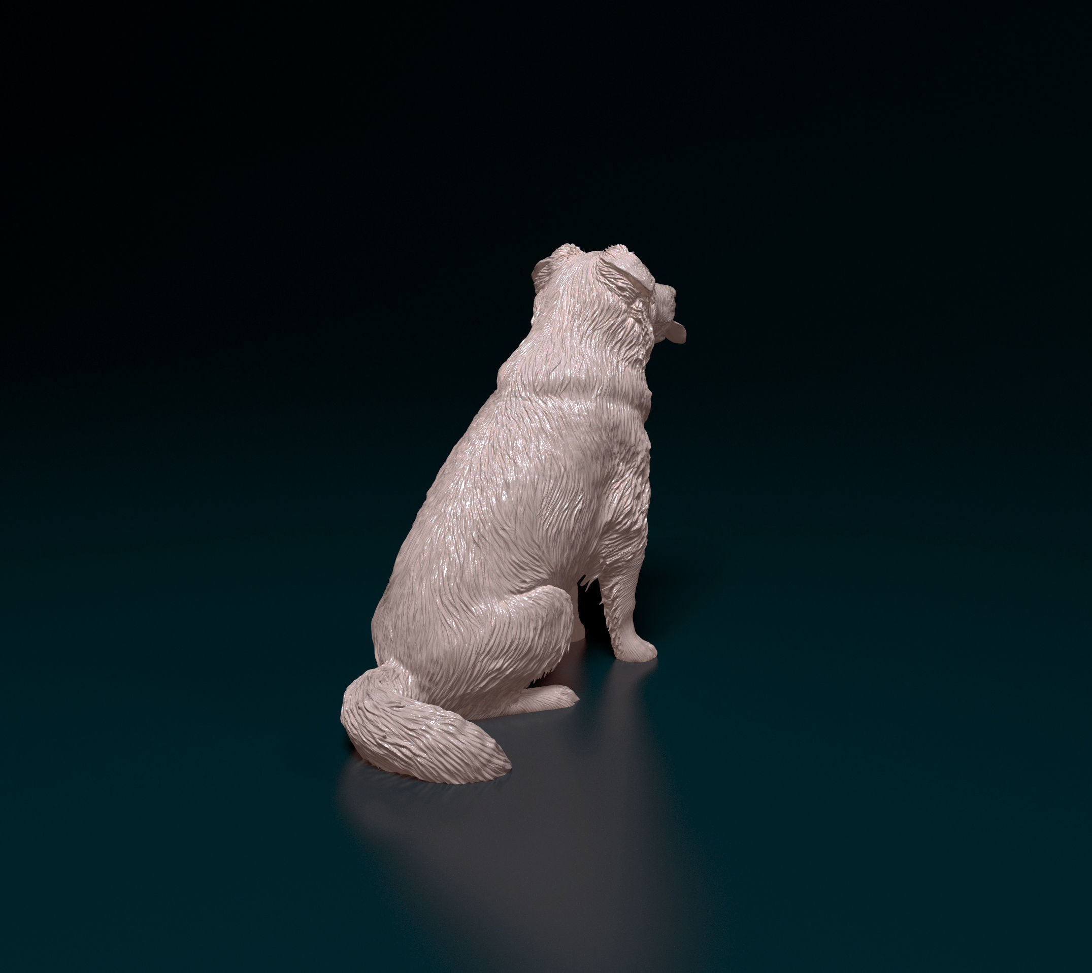 Border Collie cross 3D print model_2