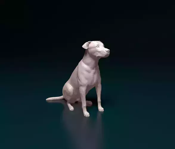 Cross breed dog 3 3D print model