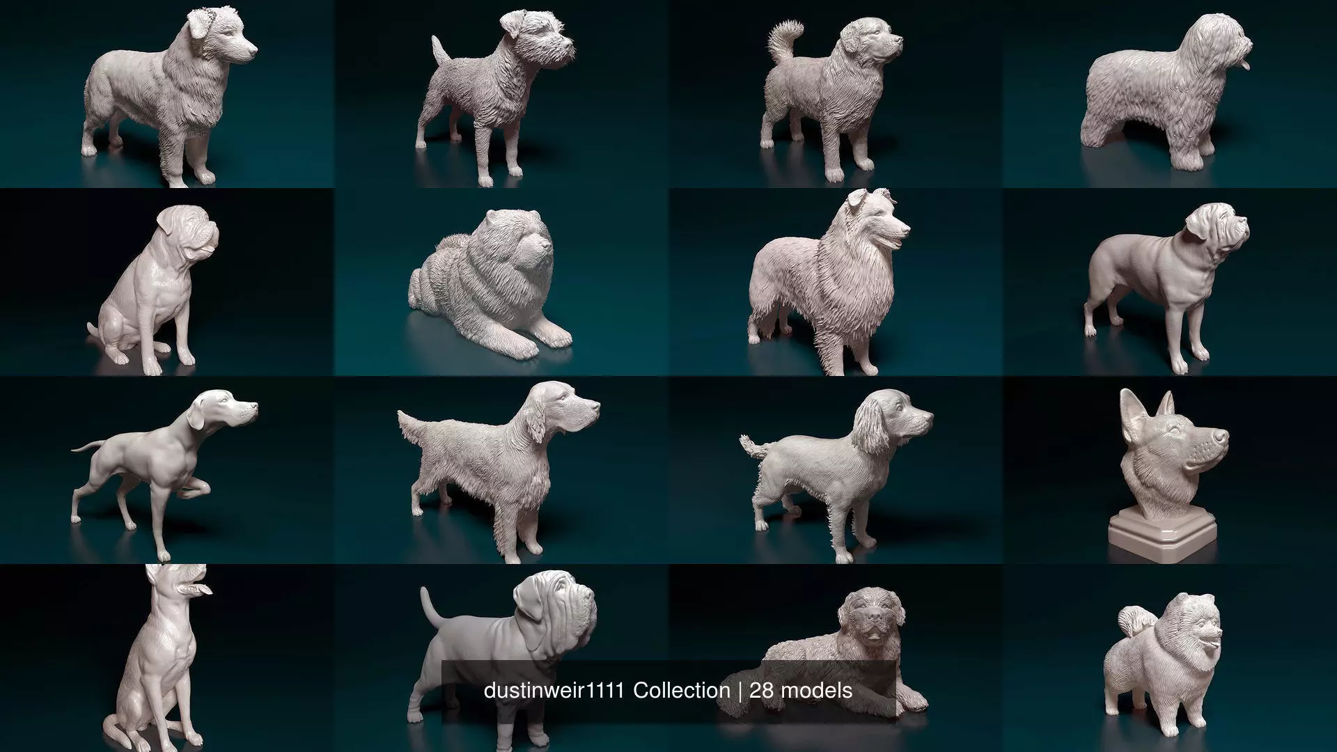 dustinweir1111 Collection collie dog _0