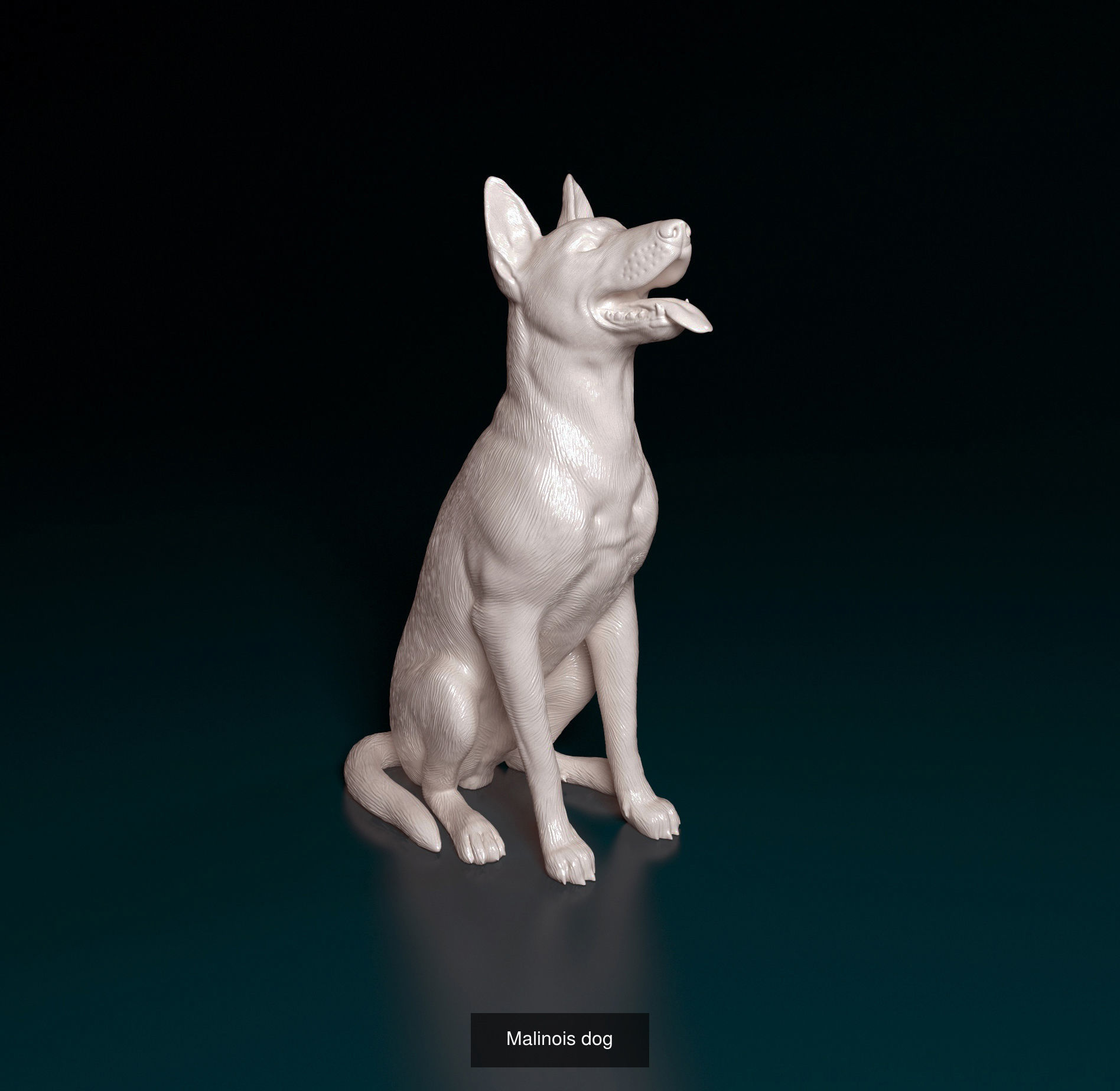 dustinweir1111 Collection collie dog _16