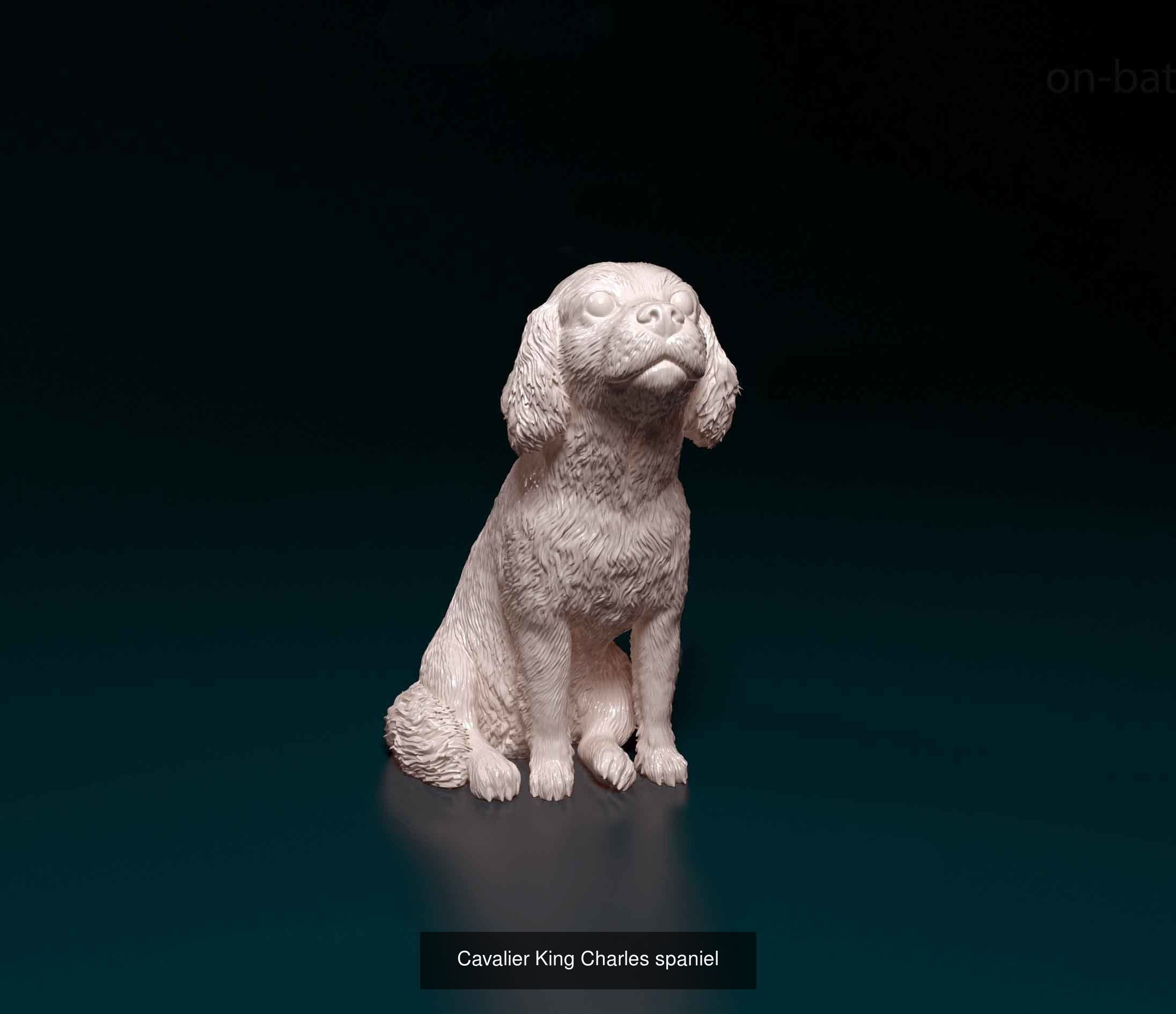 dustinweir1111 Collection collie dog _25