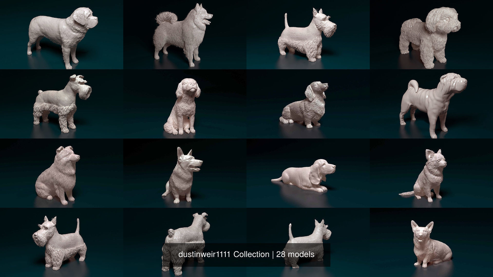 dustinweir1111 Collection collie dog _3