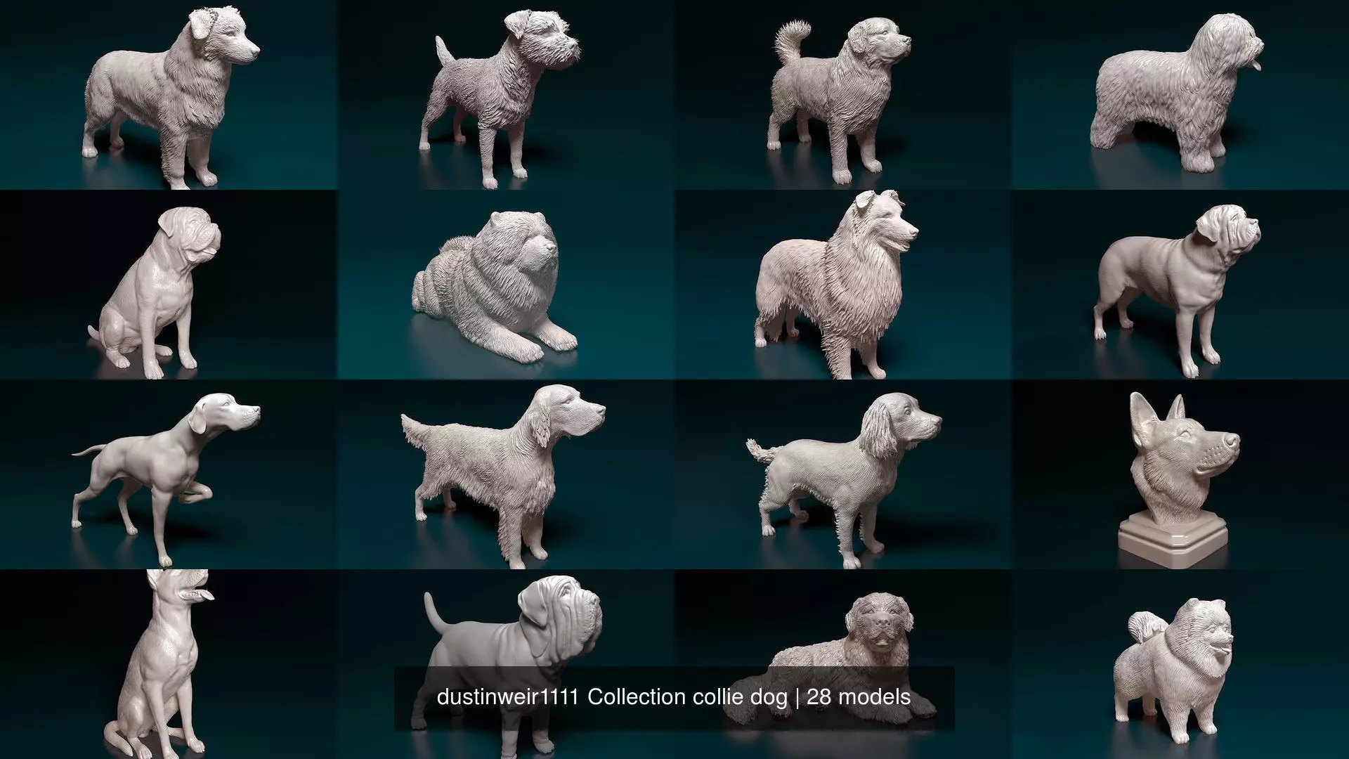 dustinweir1111 Collection collie dog _1