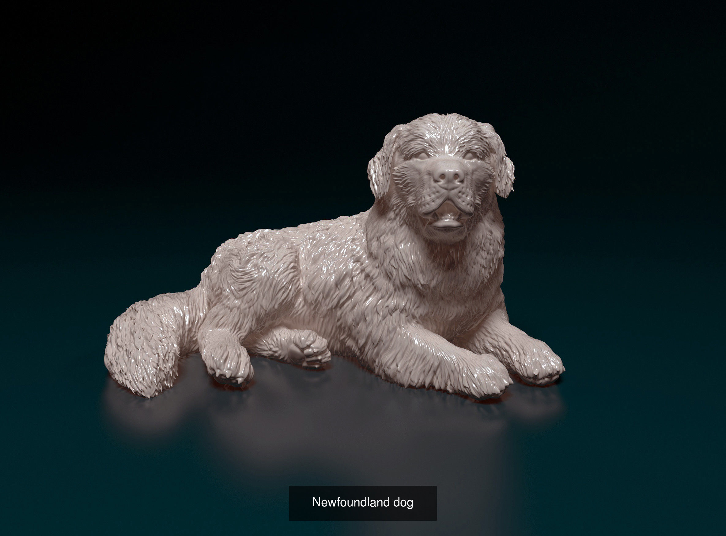 dustinweir1111 Collection collie dog _18