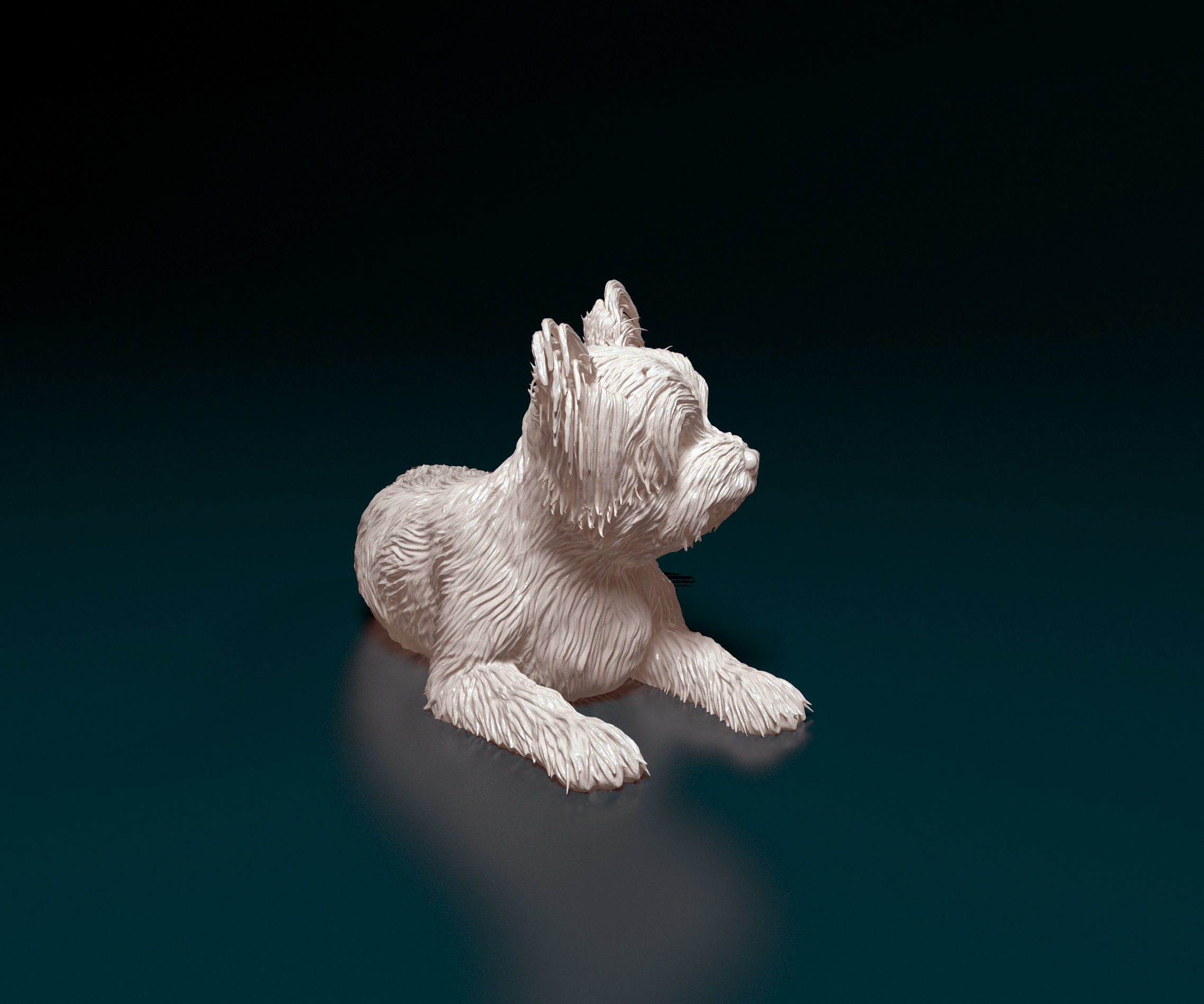Yorkshire terrier 3D print model_1