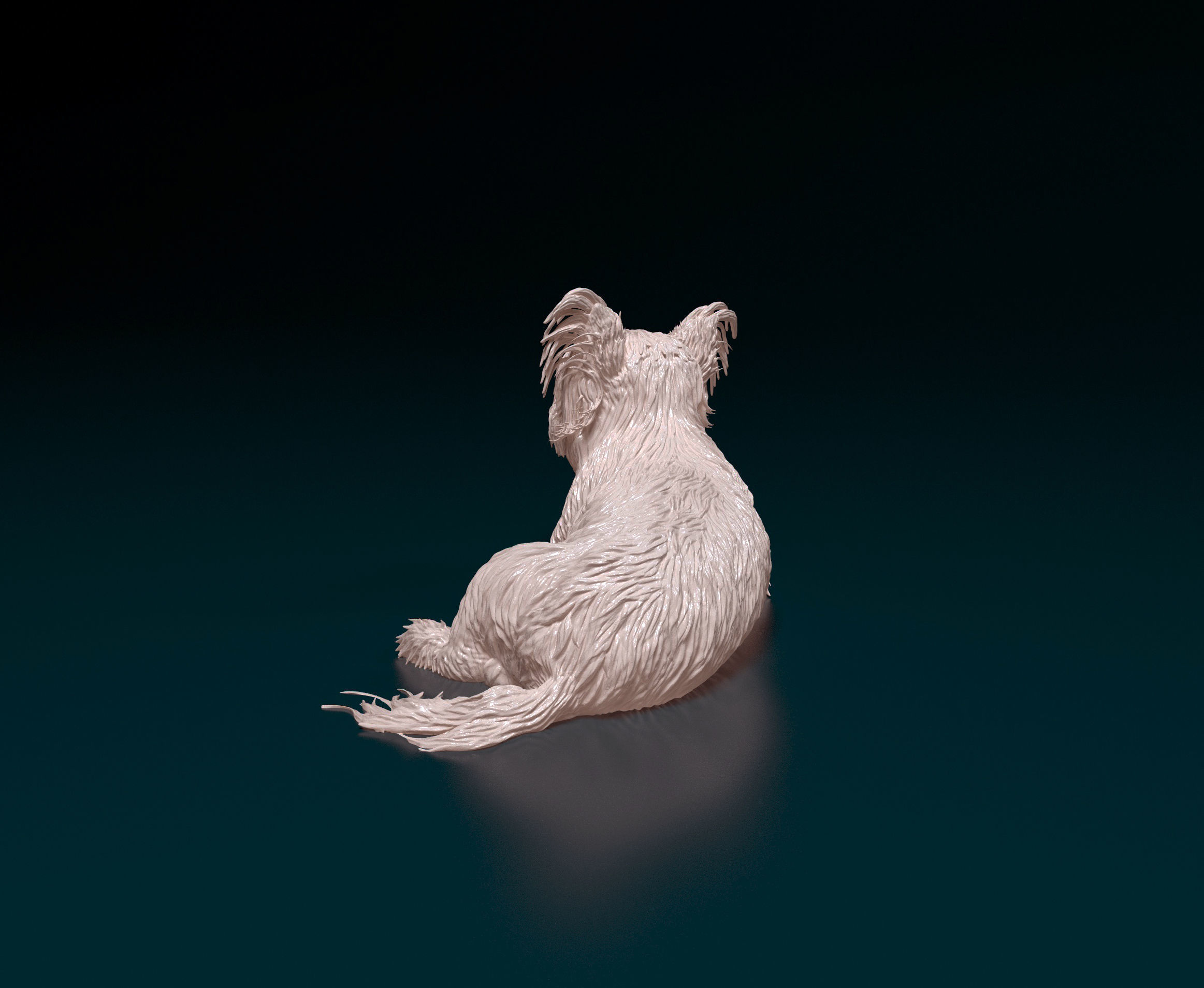 Yorkshire terrier 3D print model_4
