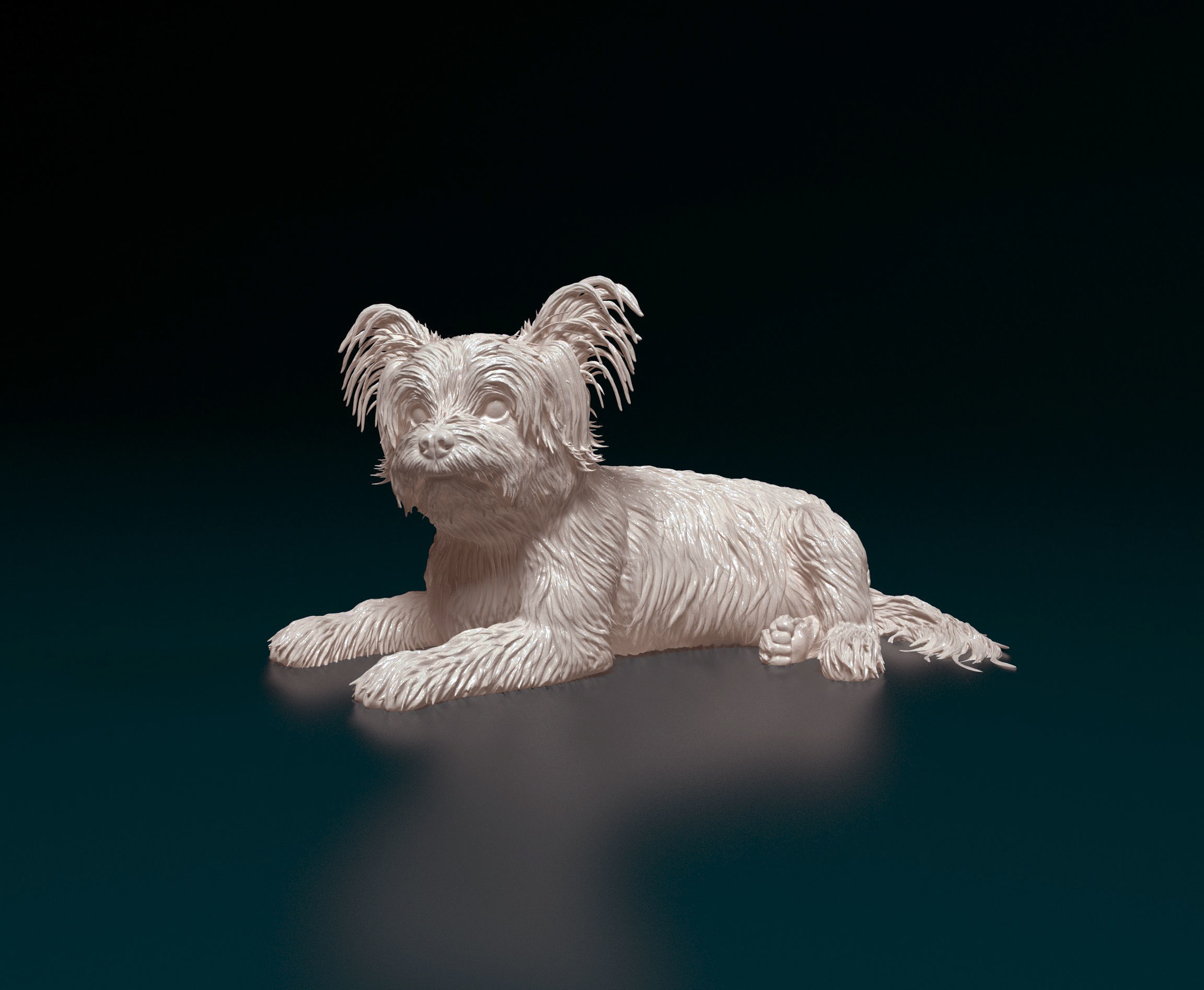 Yorkshire terrier 3D print model_2