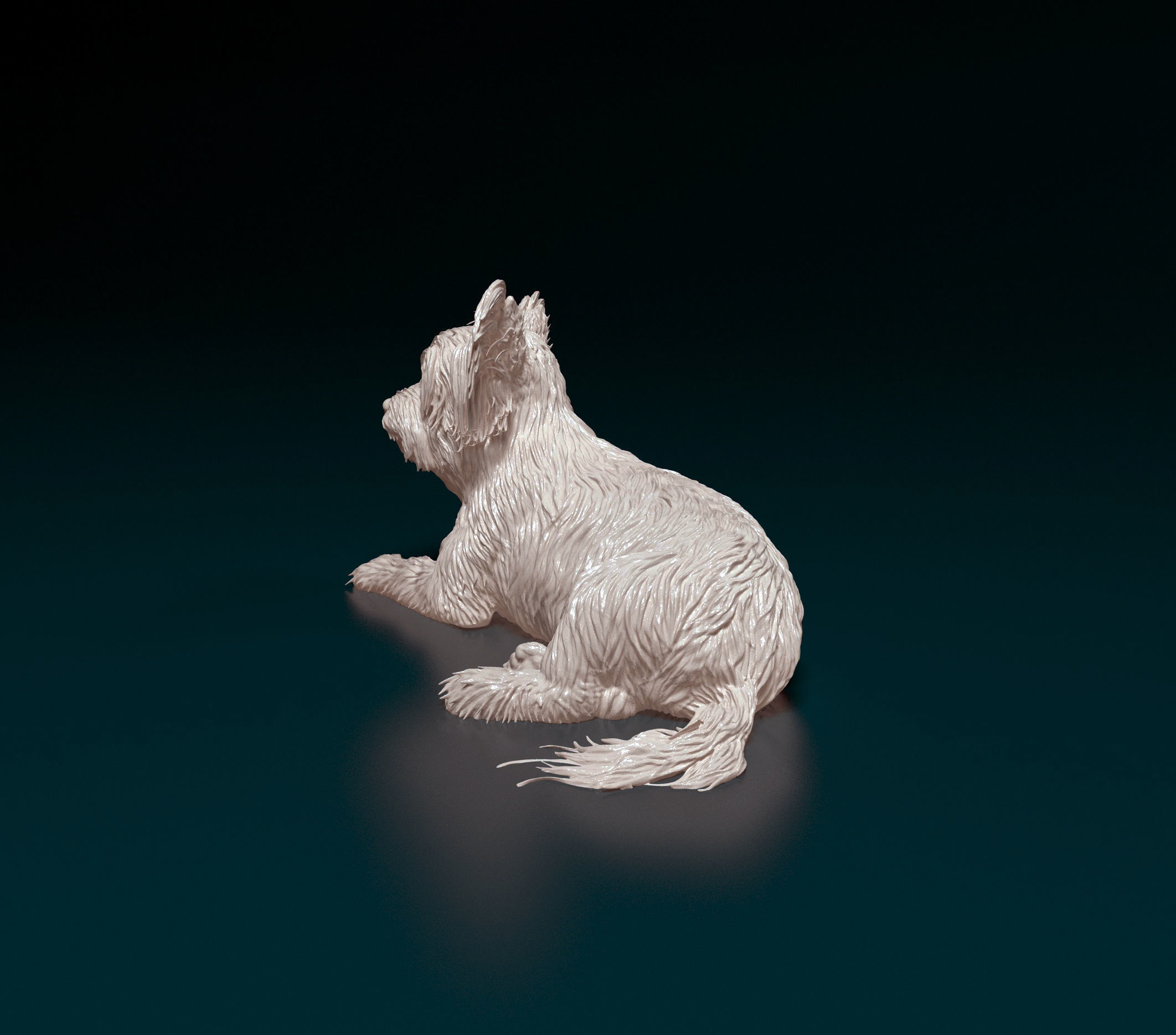 Yorkshire terrier 3D print model_5