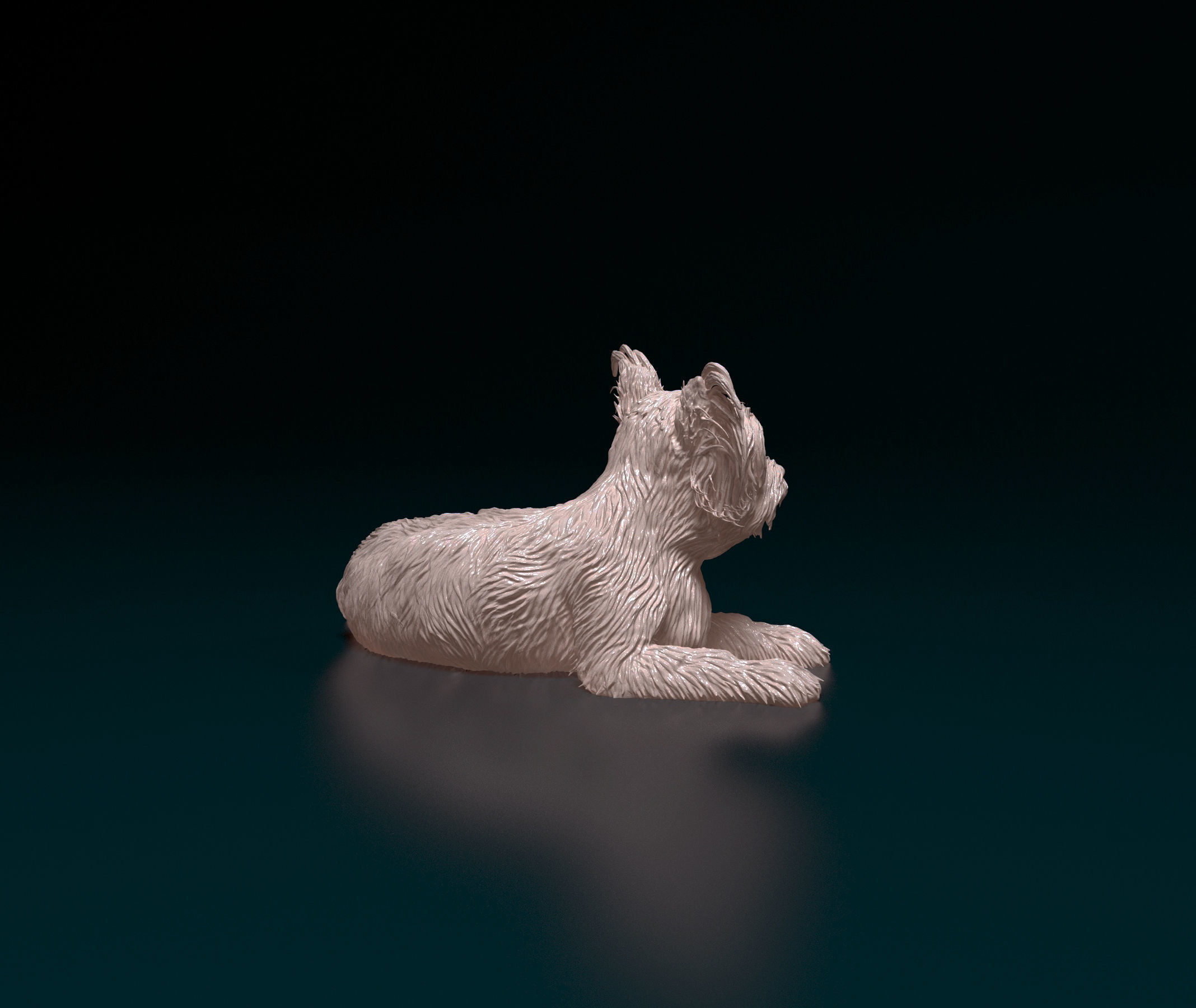 Yorkshire terrier 3D print model_3