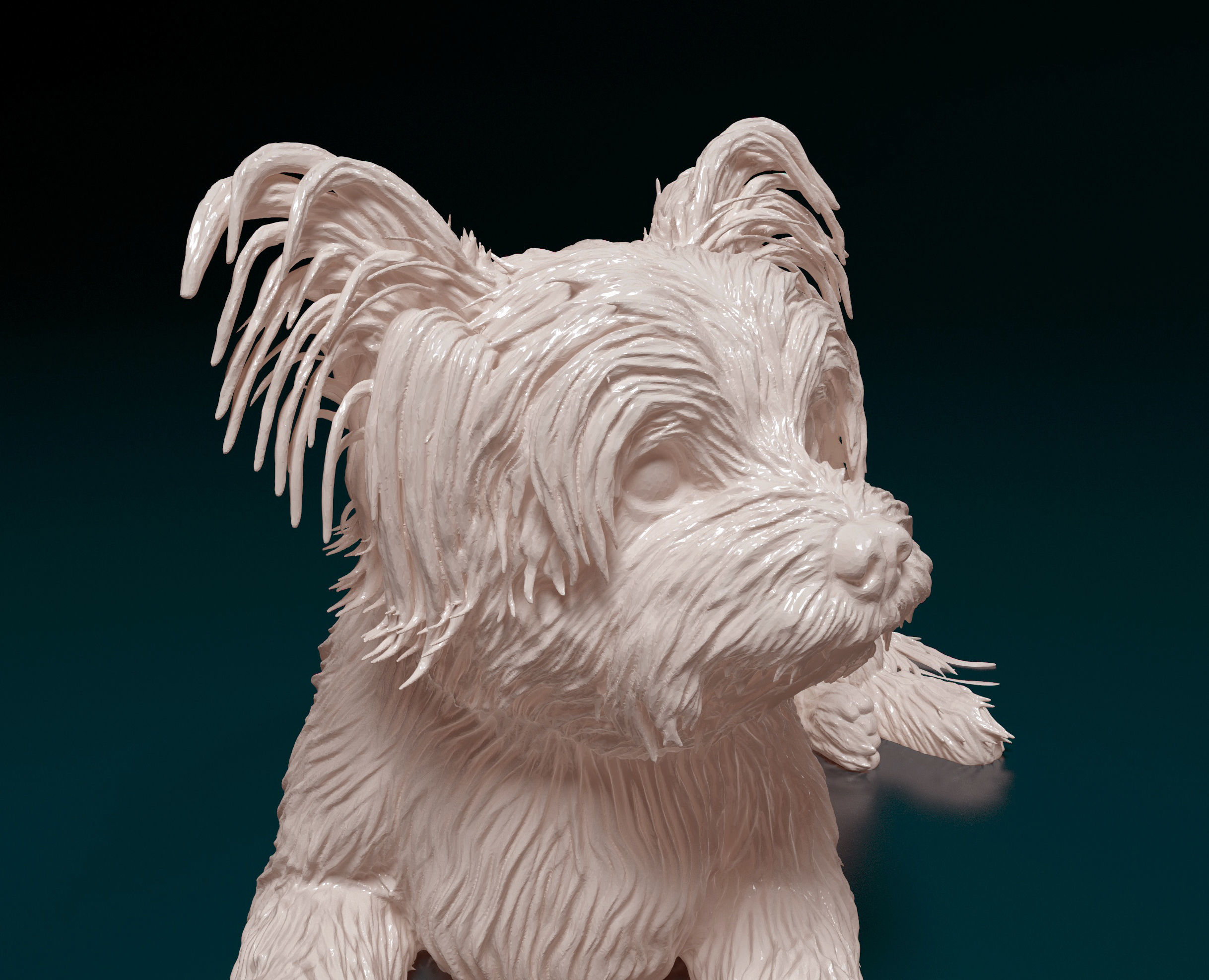 Yorkshire terrier 3D print model_6