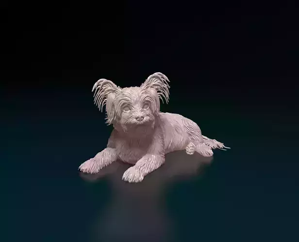 Yorkshire terrier 3D print model