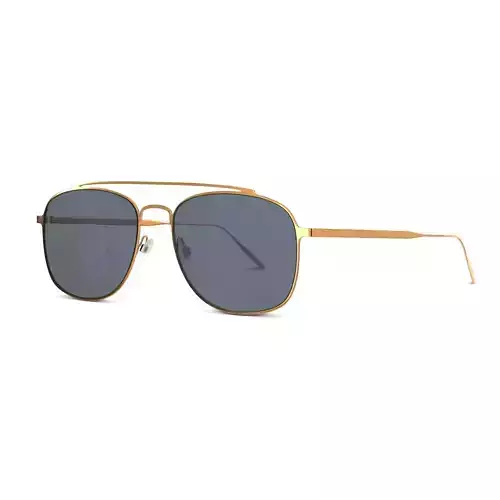 Tomas Maier - TM0007S 012 Sunglasses Low-poly 3D model