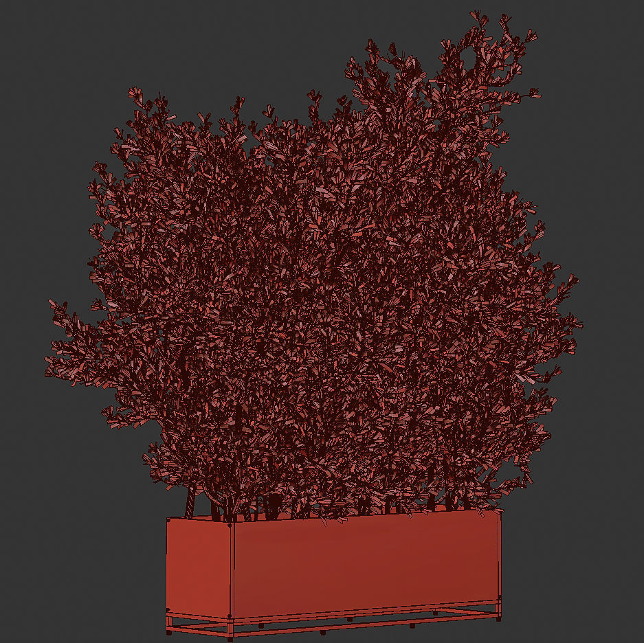 Outdoor Plants Tree in Metal Box 04 3D model_4
