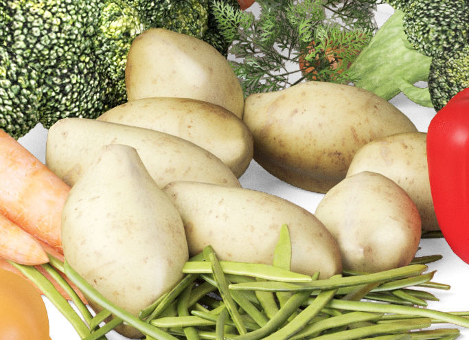 Vegetable basket 3D model_2