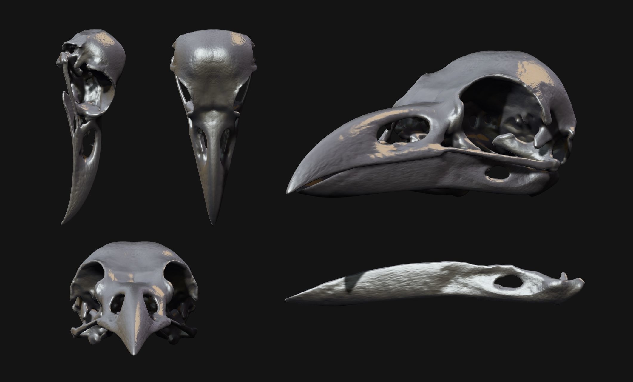 Crow-Raven-Corax Skull - CNC and 3D print model_6