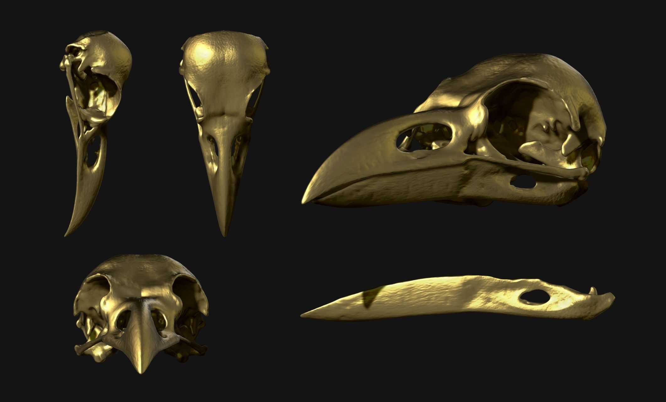 Crow-Raven-Corax Skull - CNC and 3D print model_16