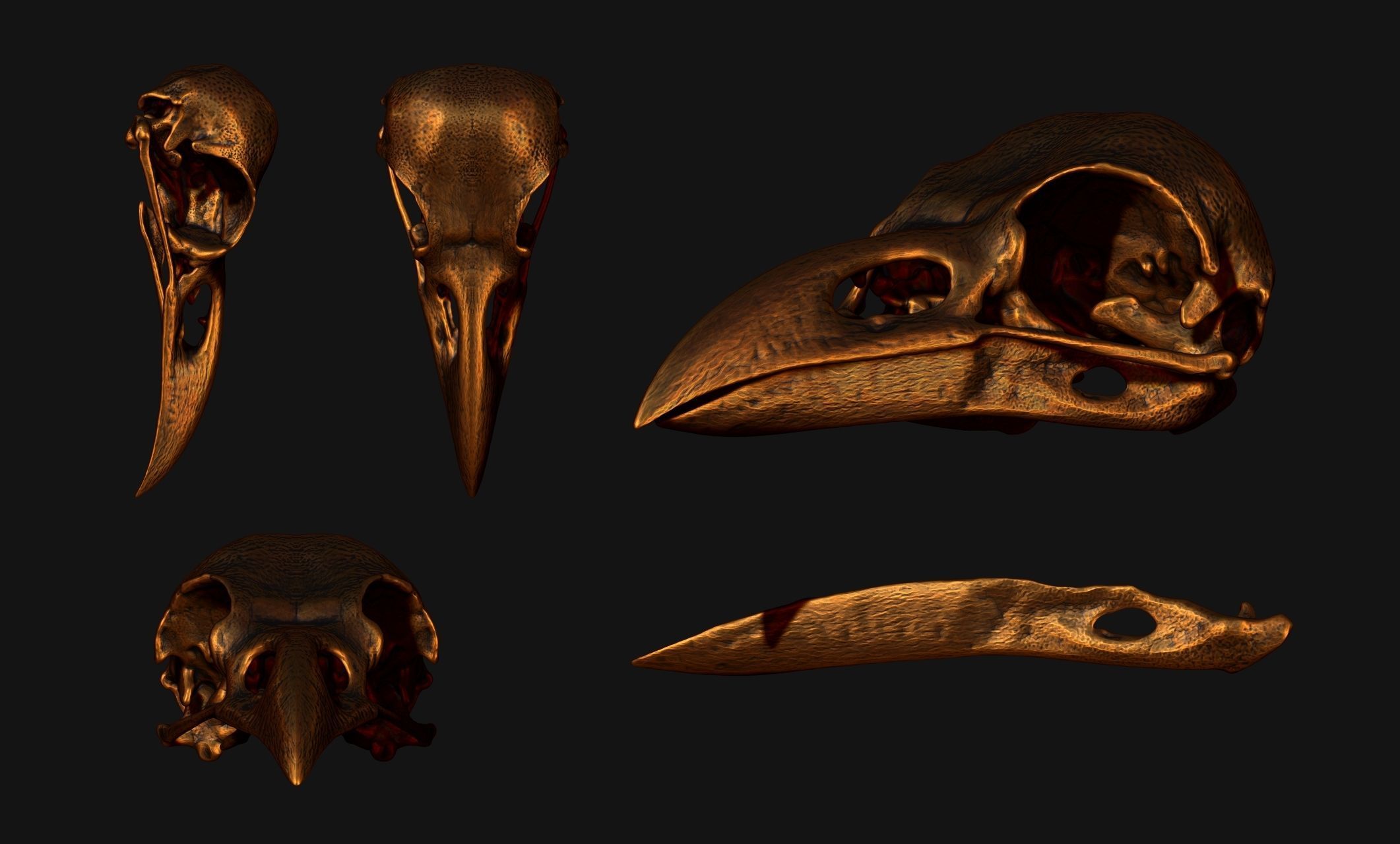 Crow-Raven-Corax Skull - CNC and 3D print model_18