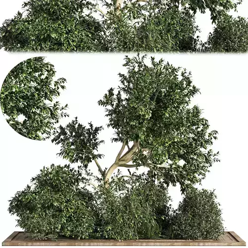 Garden set bush and Tree Set07 3D model