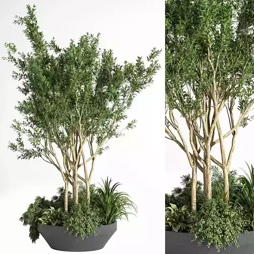 Outdoor Plants tree 08