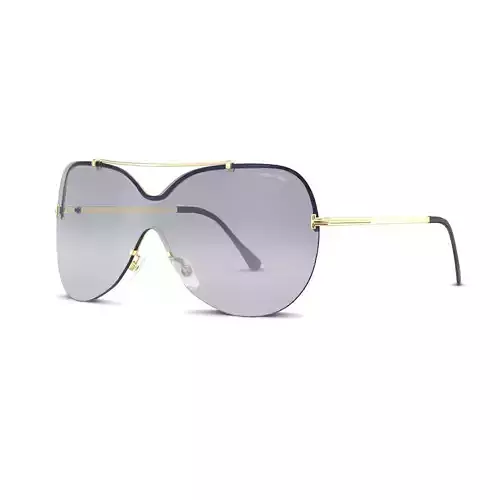 Tom Ford - FT0519 Sunglasses Low-poly 3D model