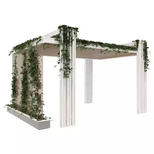Pergola with ivy