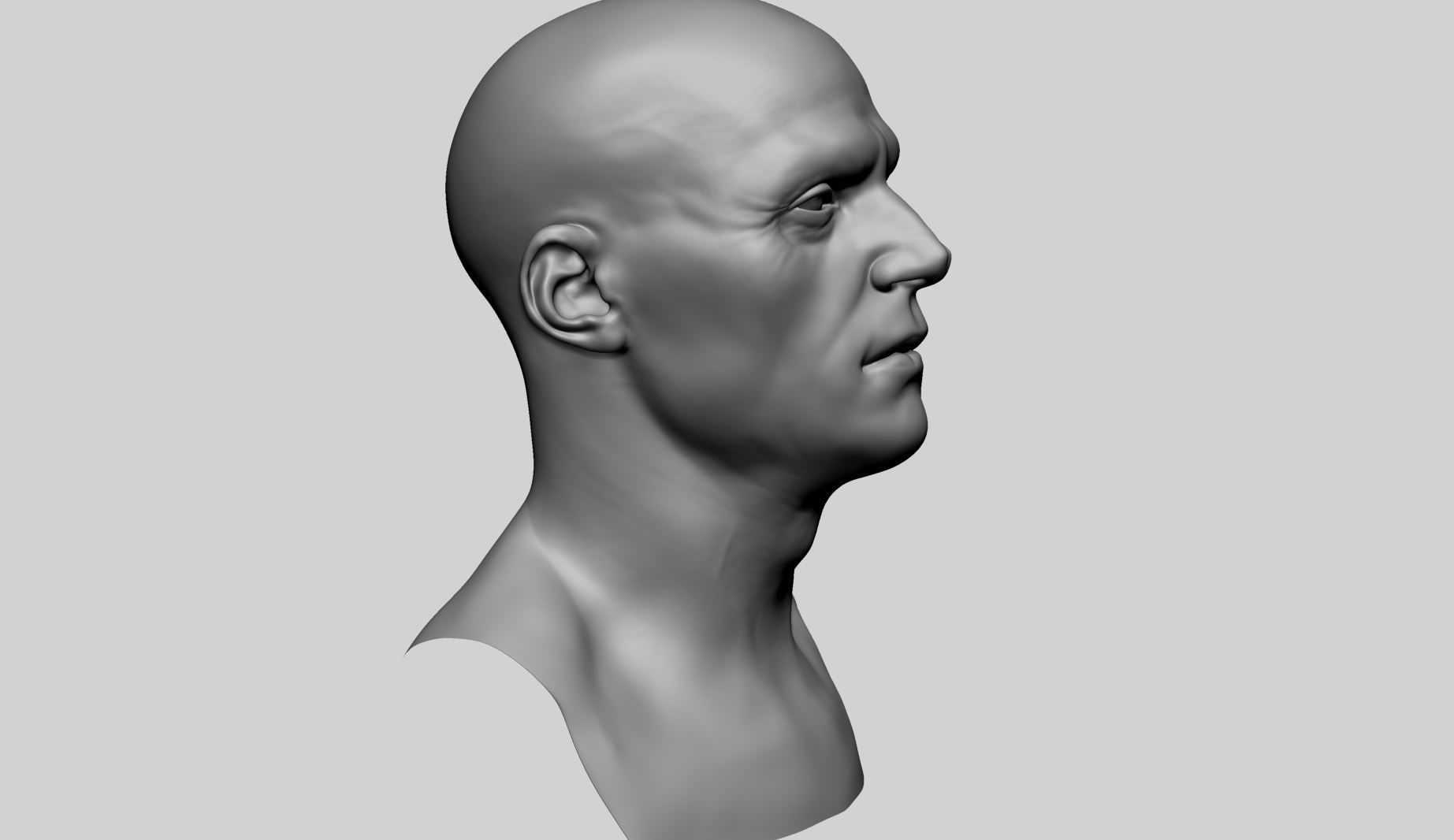 Male Head Basemesh C 3D model_5