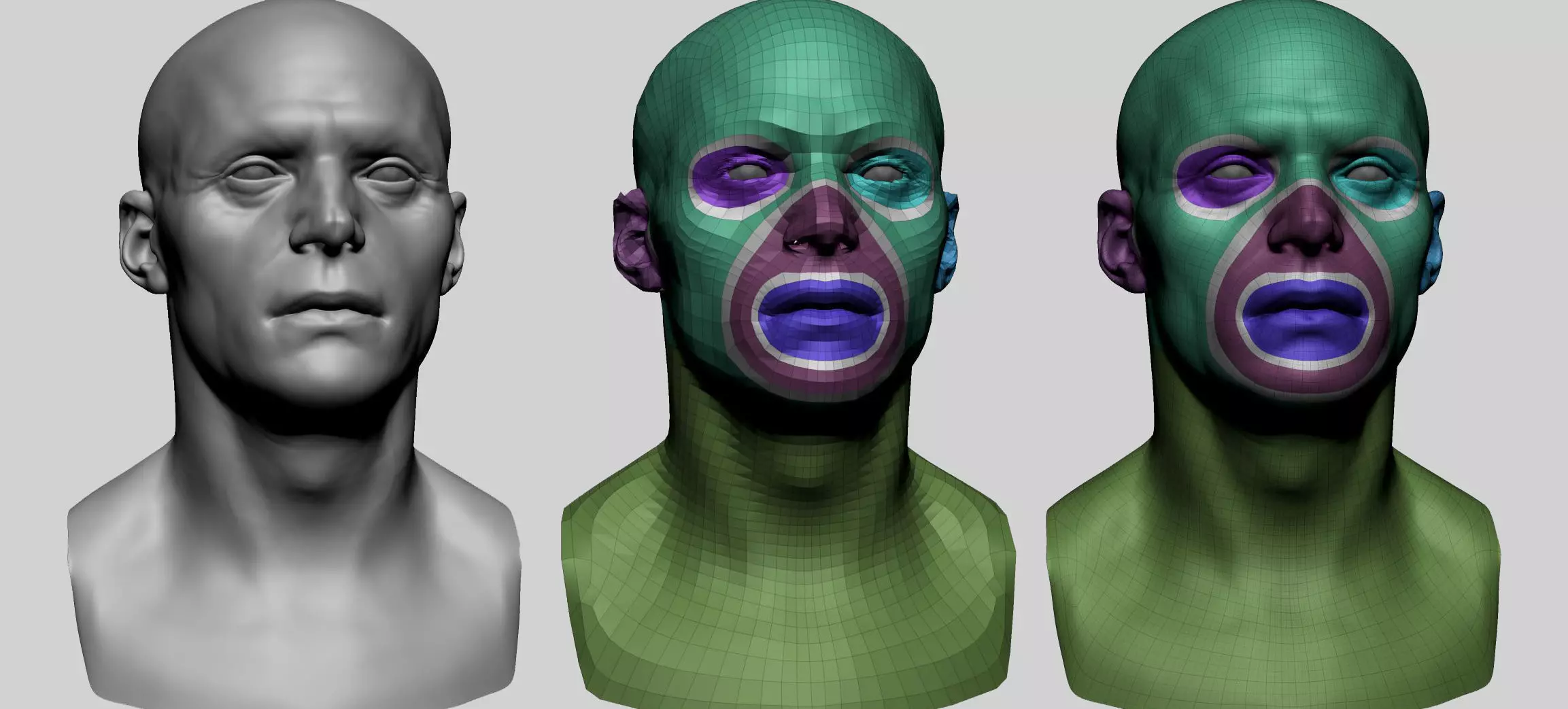 Male Head Basemesh C 3D model_0