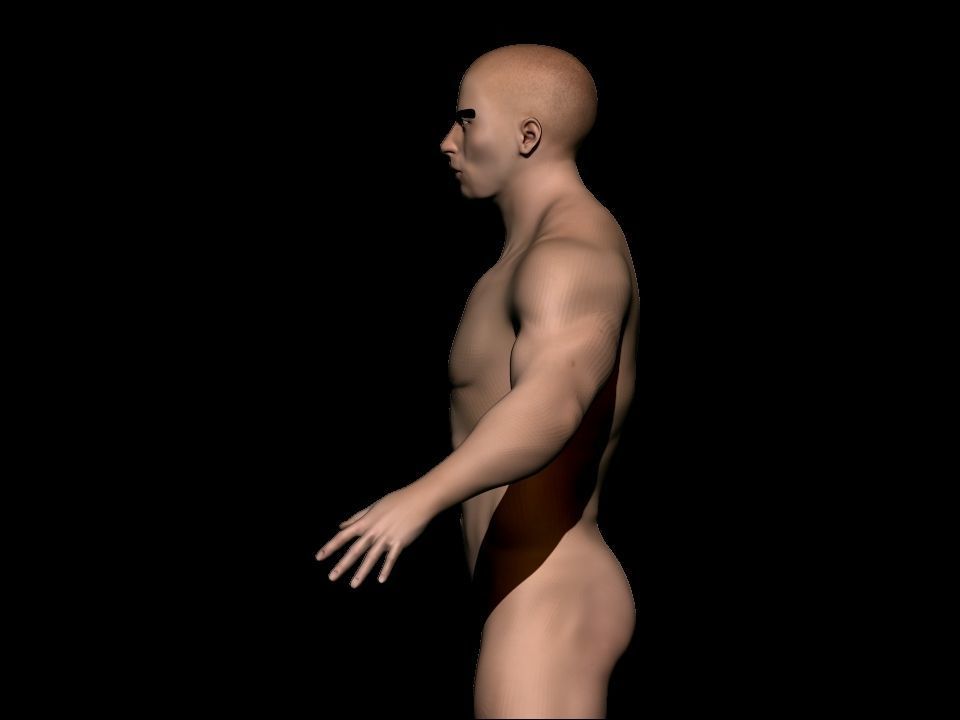 base mesh Low-poly 3D model_4