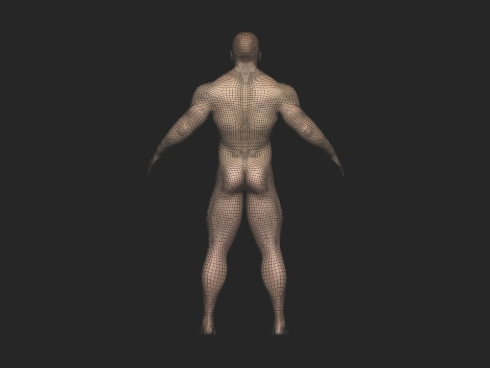 base mesh Low-poly 3D model_8