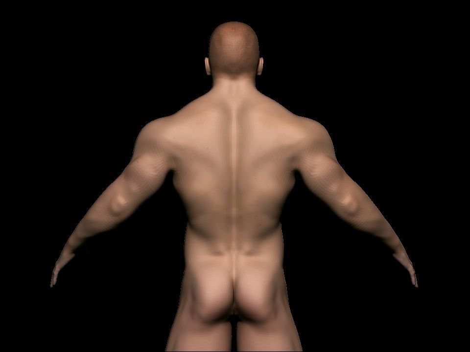 base mesh Low-poly 3D model_5