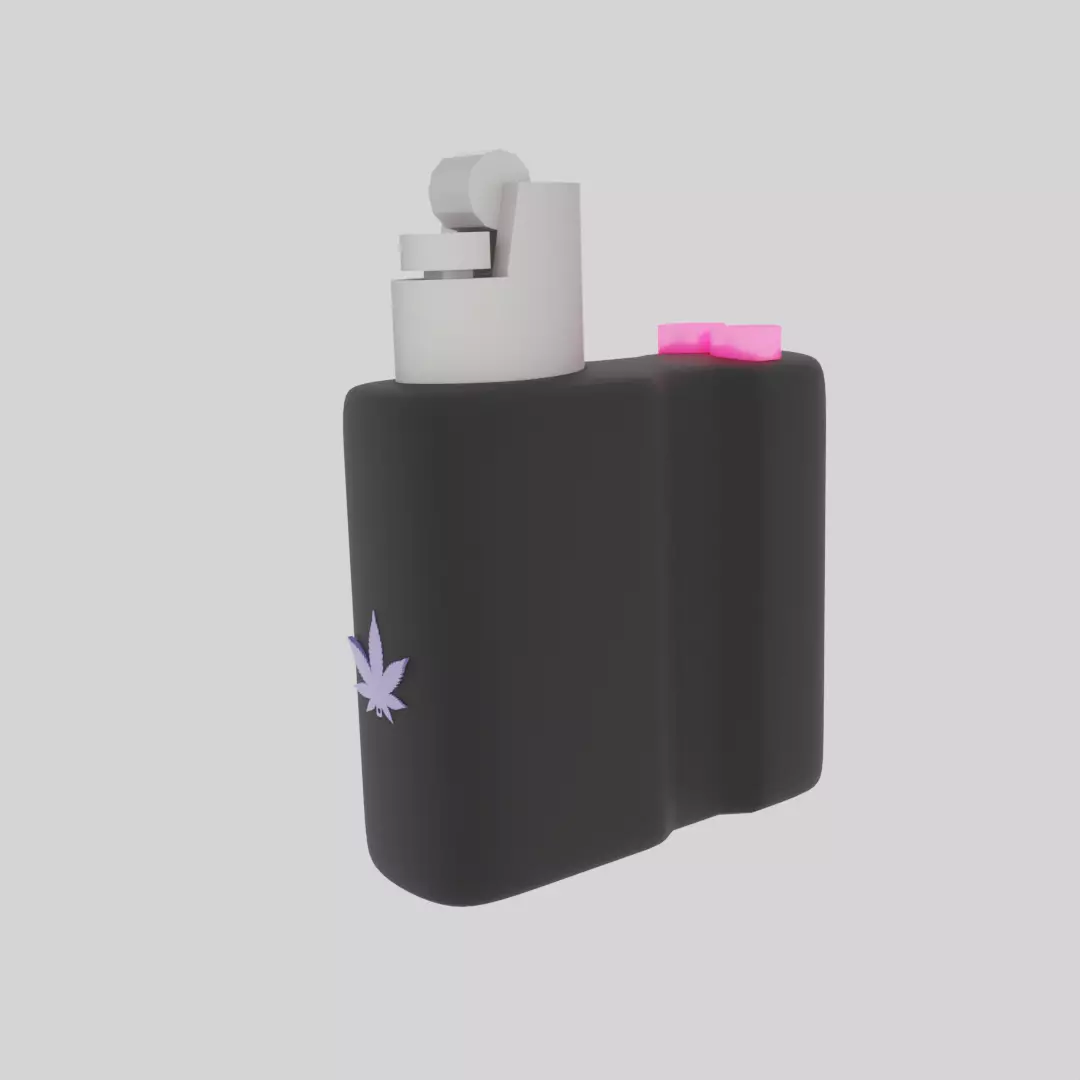 Lighter case fashion and siplet to carry 3D print model