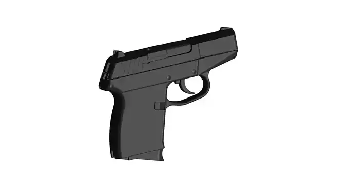 Kel Tec P-11 pistol 