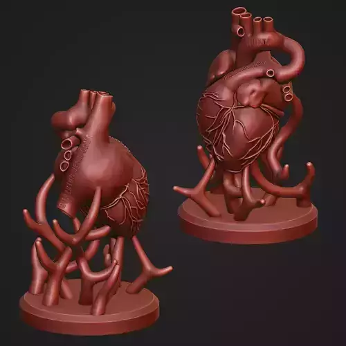 Human Heart Anatomy Sculpture Statue Art 3D print model