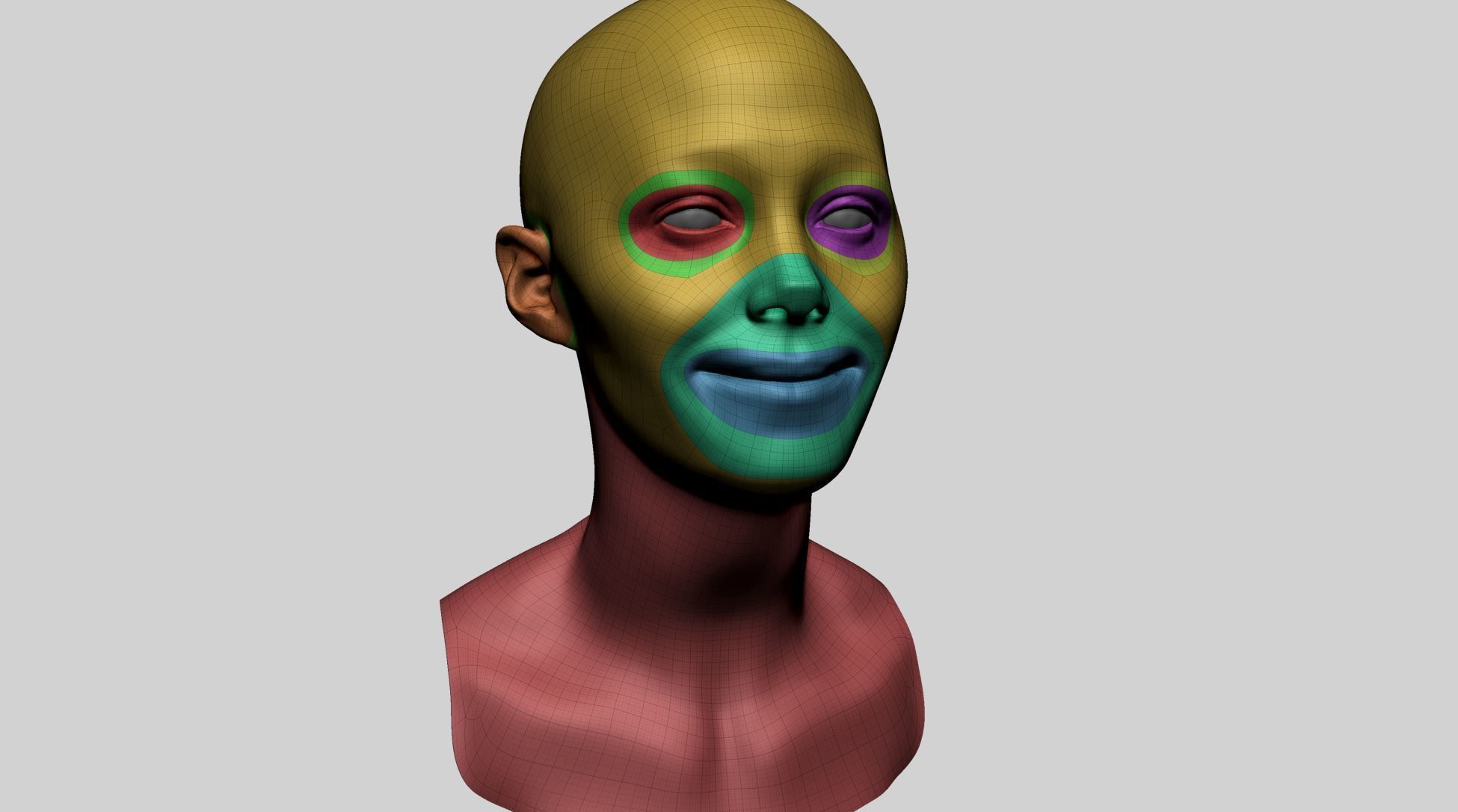 Female Head Basemesh - Expressions 3D model_6