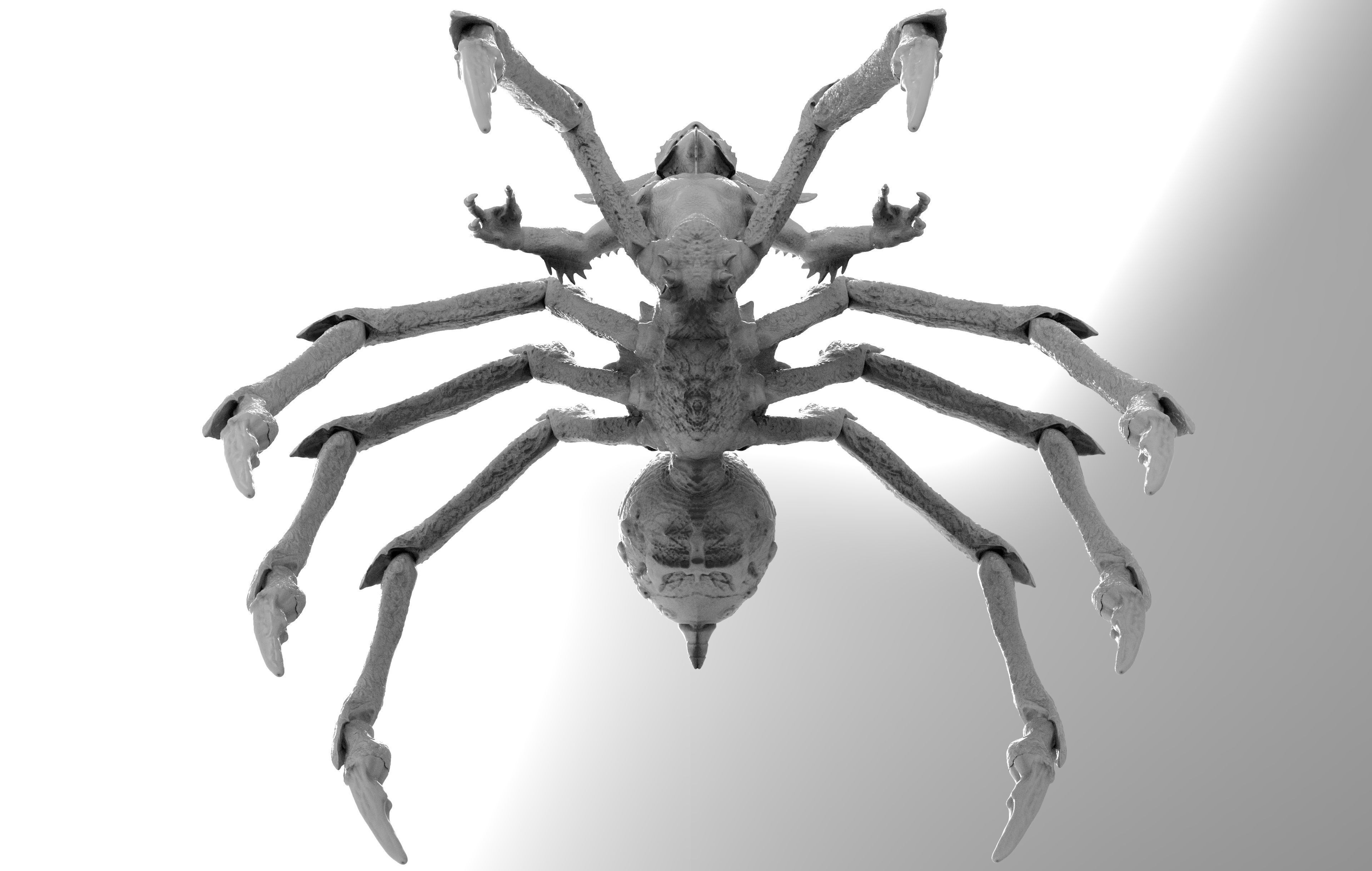 Mohawk Spider Gremlin 3D print model_2