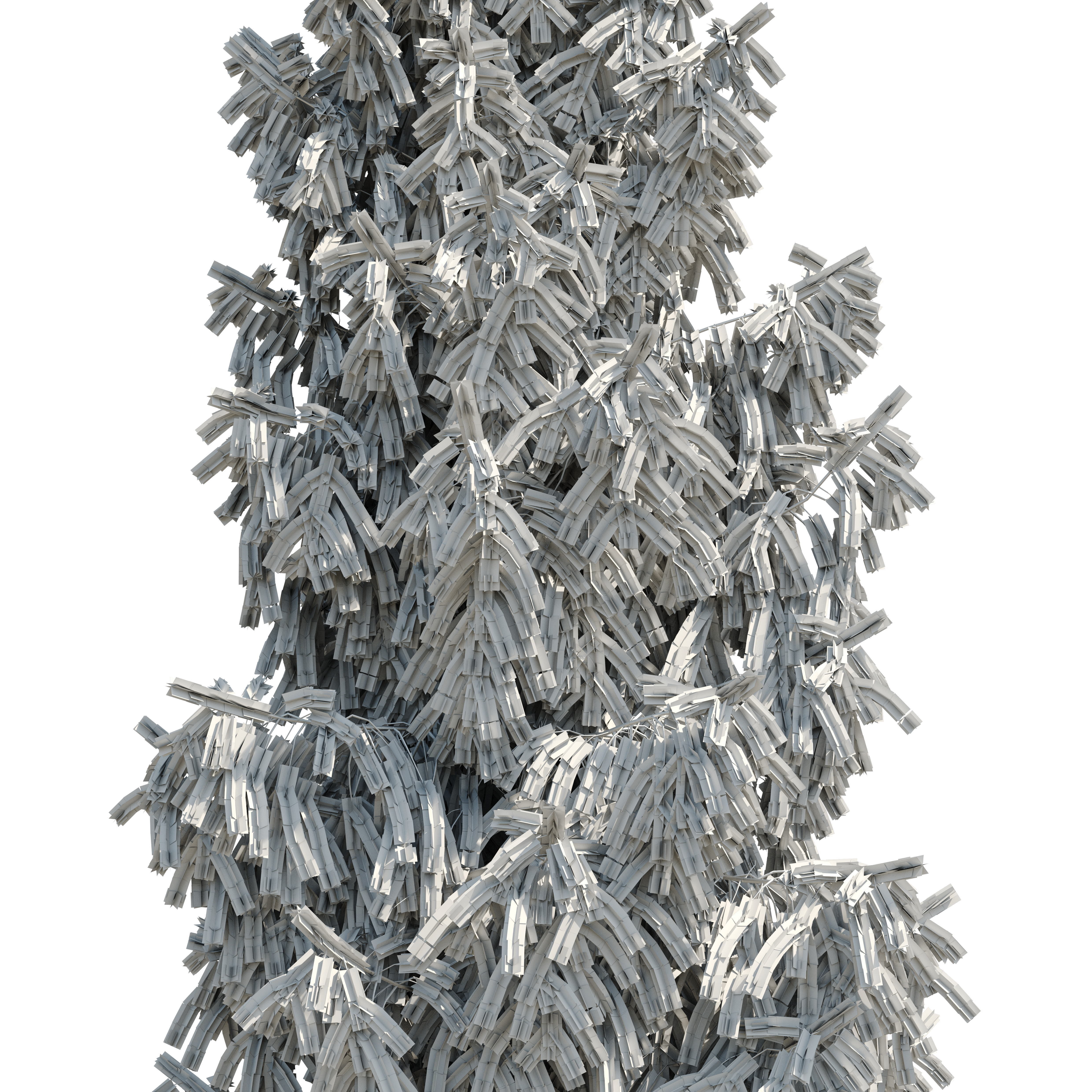 Spruce 8m 3D model_4