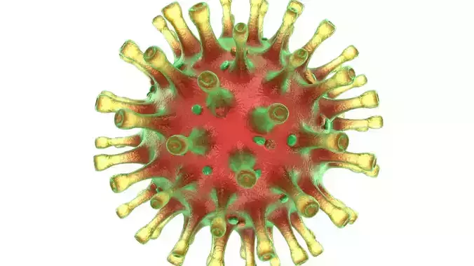 Coronavirus COVID-19 SARS-CoV-2 Cell Organism 