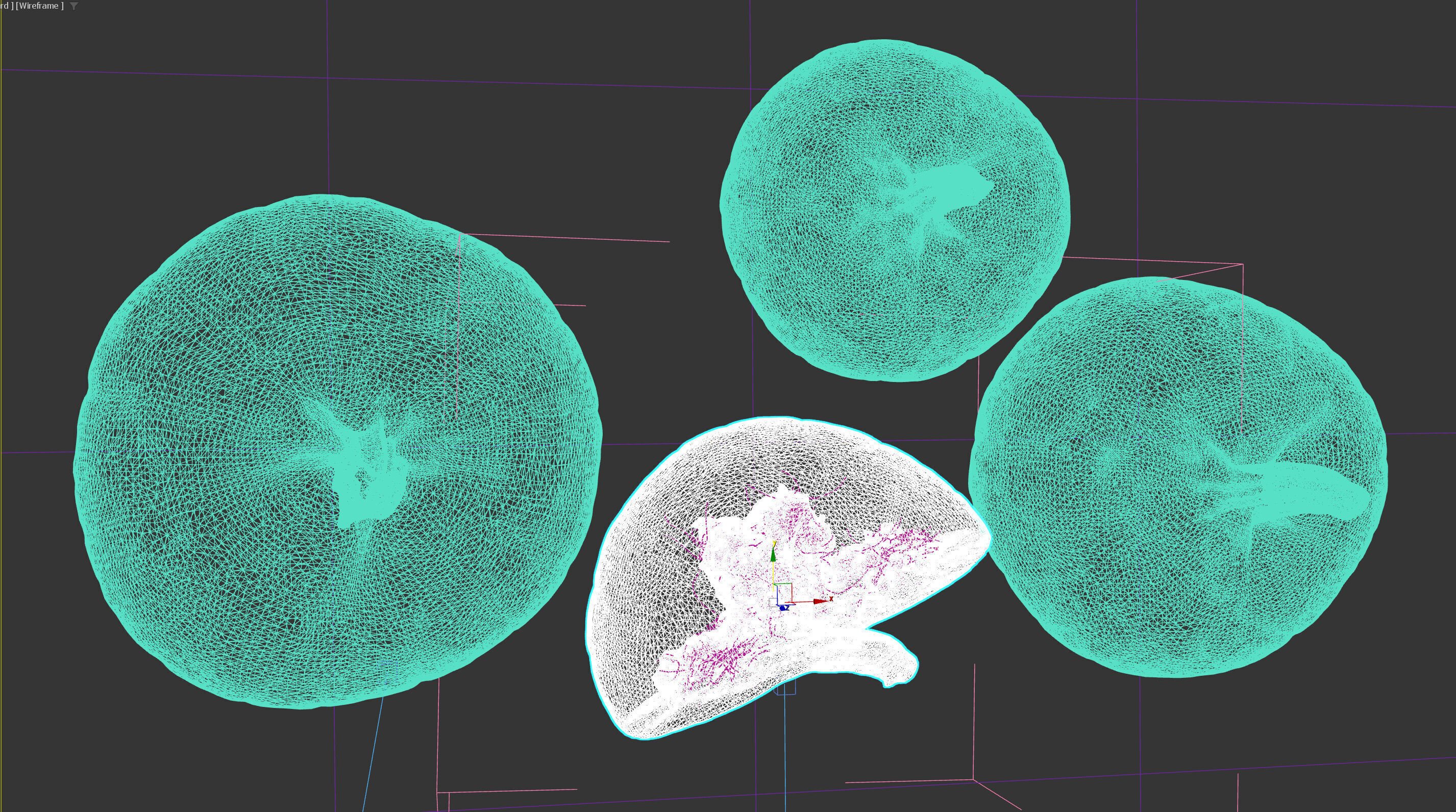 Pumpkin Half Photorealistic 3D model_4