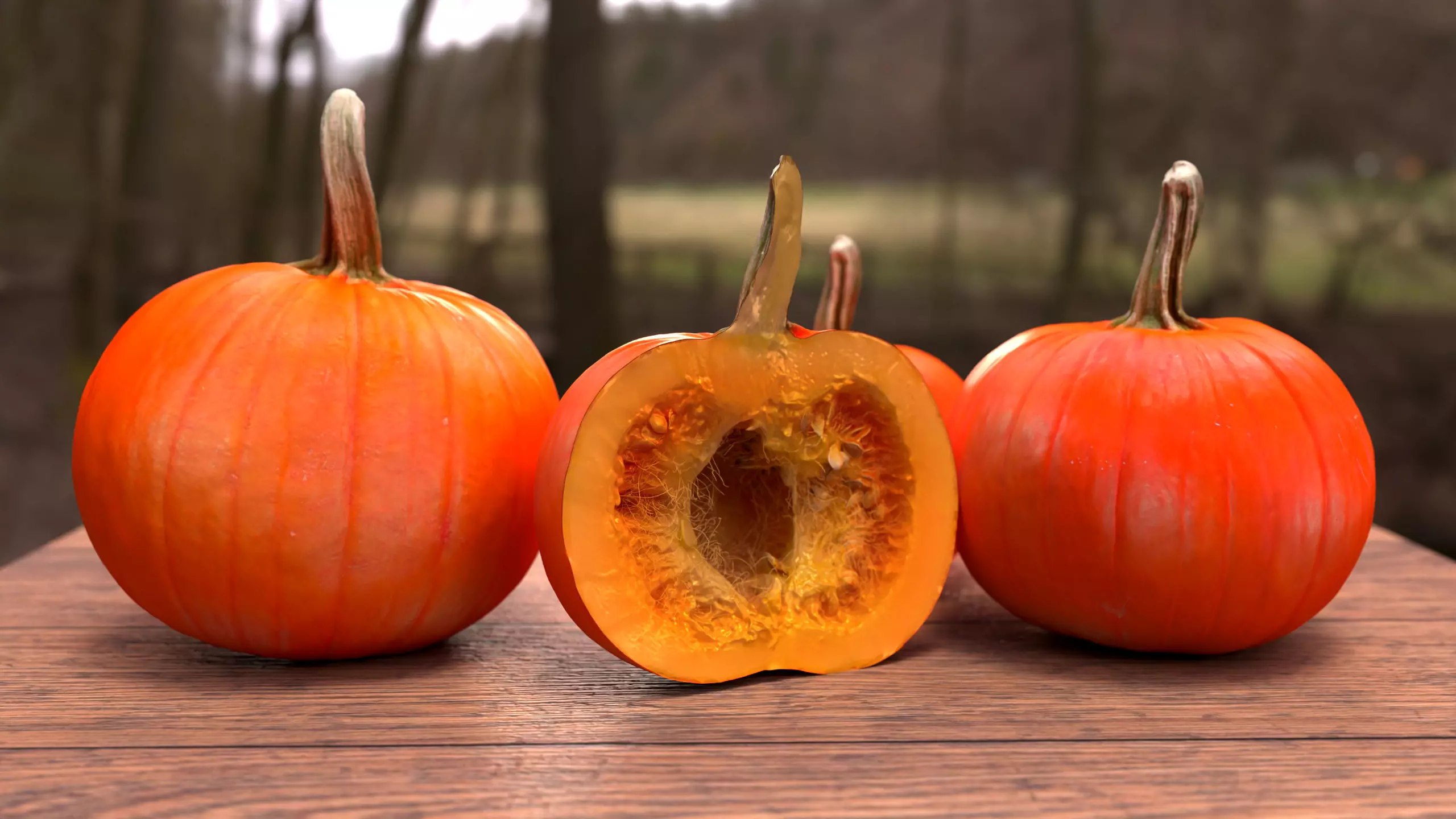Pumpkin Half Photorealistic 3D model_0