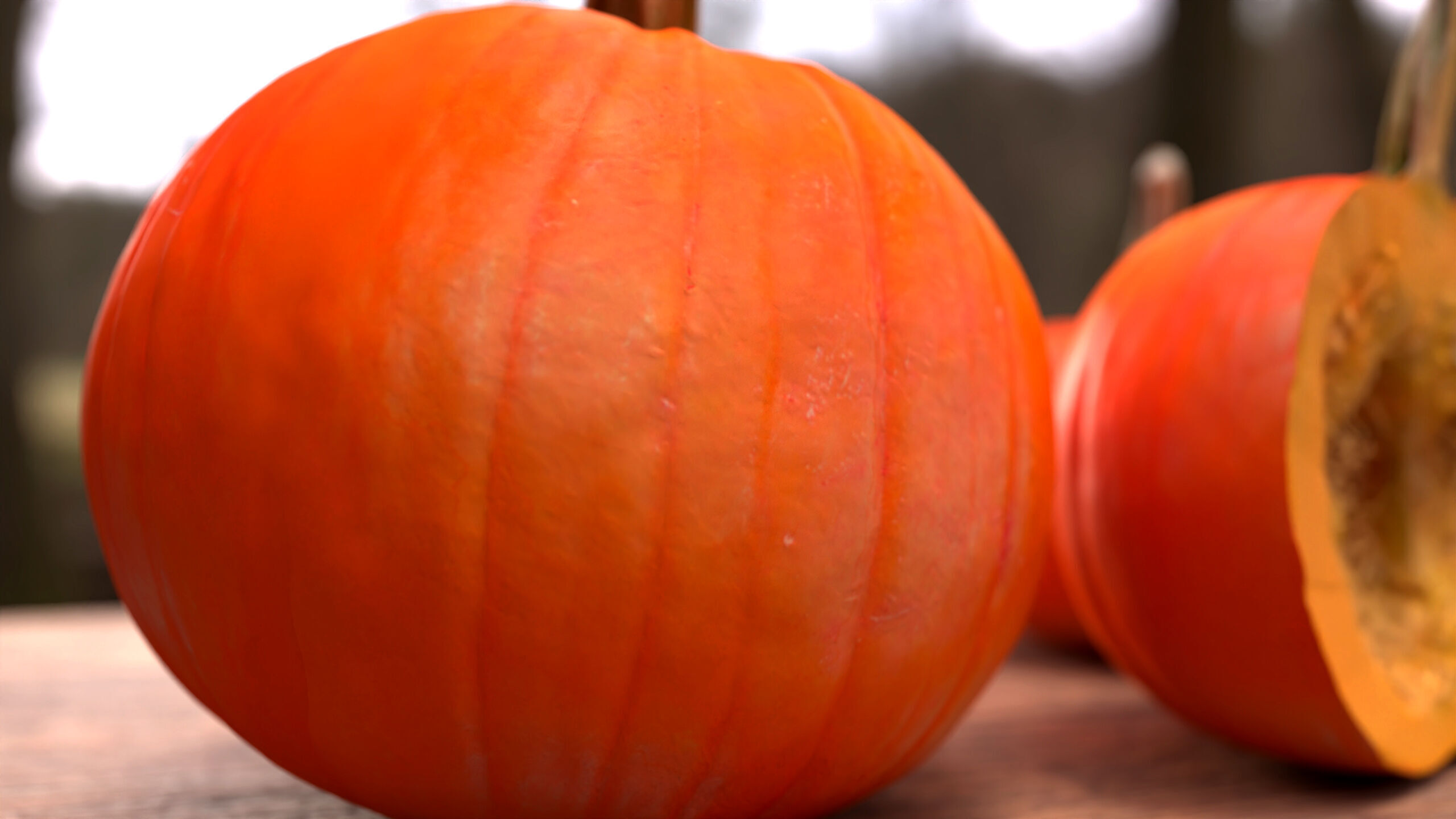 Pumpkin Half Photorealistic 3D model_1