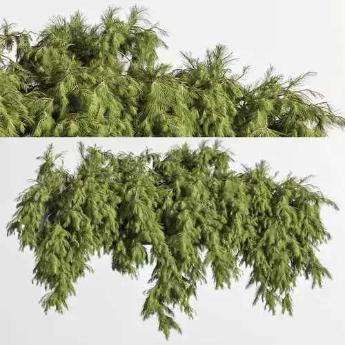 outdoor Plant boxHanging Plant 01