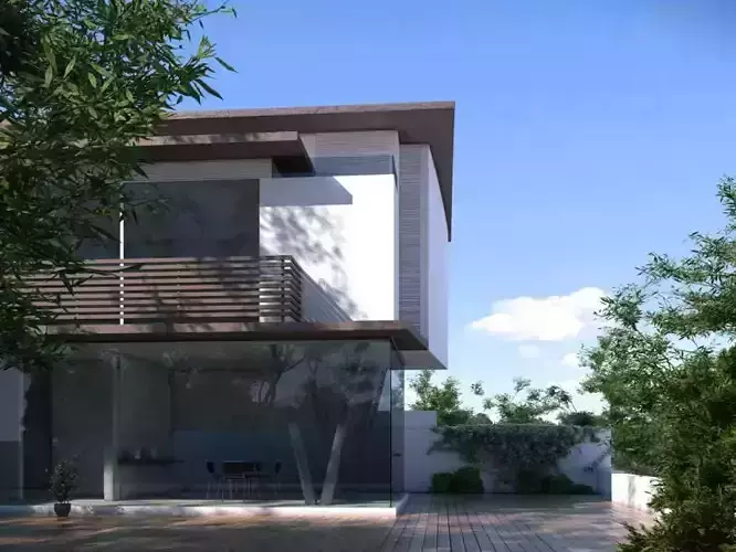 Modern House