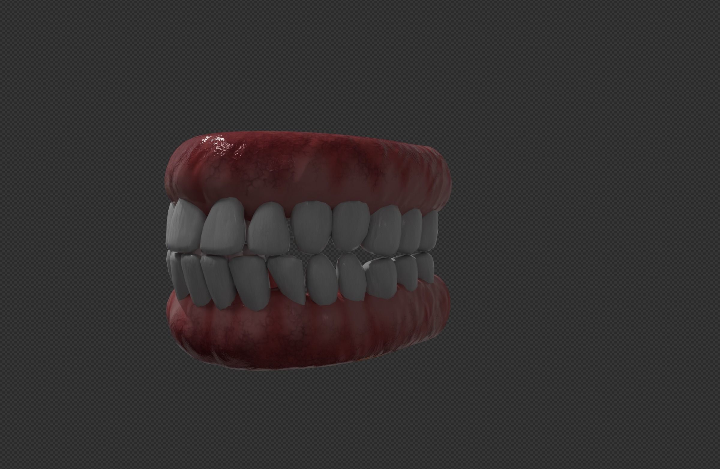 TEETH AND PALATE Low-poly 3D model_3