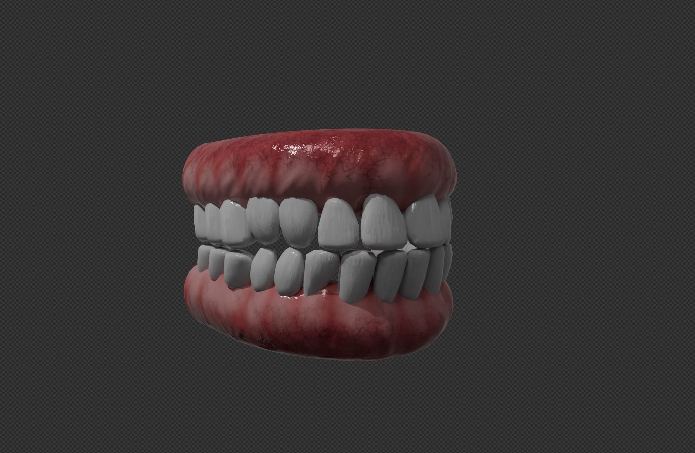 TEETH AND PALATE Low-poly 3D model_2