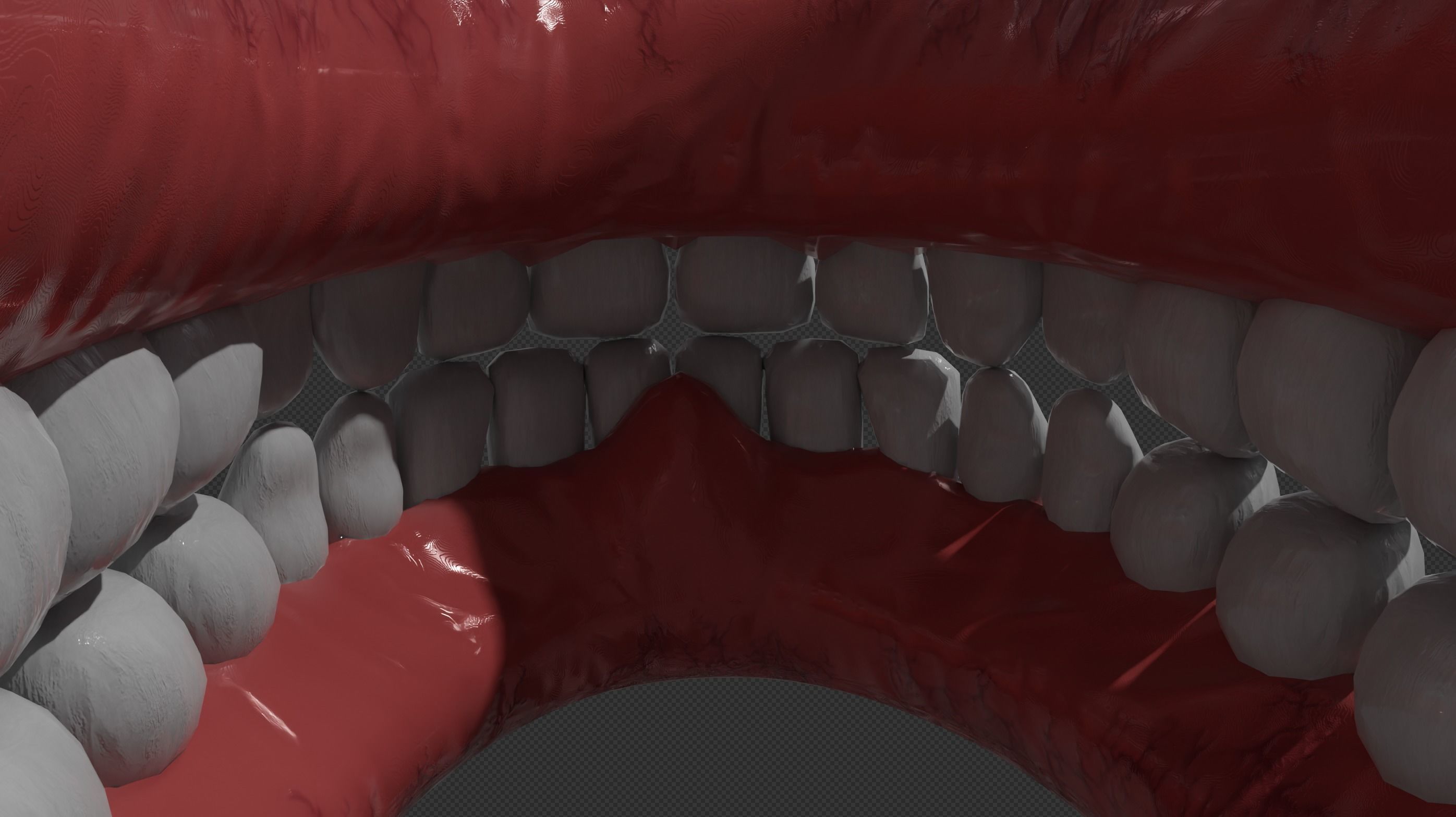 TEETH AND PALATE Low-poly 3D model_4