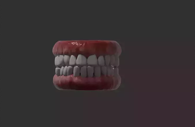 TEETH AND PALATE Low-poly 3D model