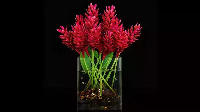 Plant 31 3D model